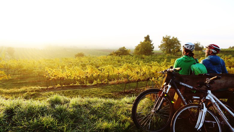 Radeln und Rasten: Im Weinbaugebiet Traisental, © schwarz-koenig.at
