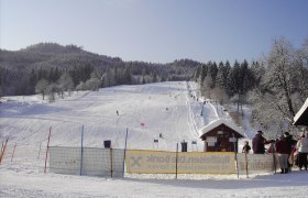 Skigebiet mit Piste, Skifahrern und Wald im Hintergrund.
