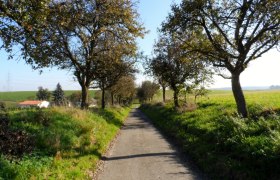 Idyllischer Rastplatz, &copy; Mostviertel - O&Ouml; Mariazellerweg