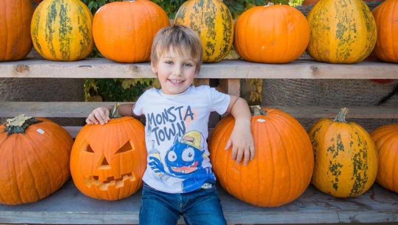 Pumpkin carving, © Wurzers Genuss- und Erlebnishof