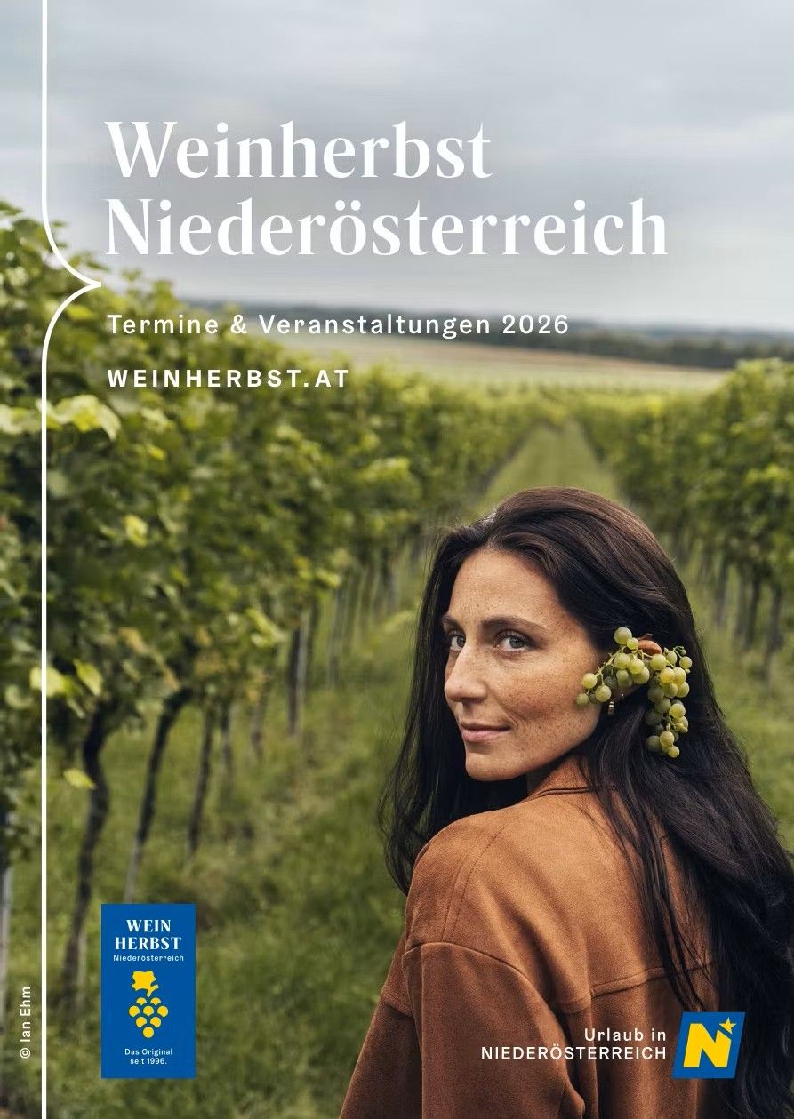 Weinherbst Niederösterreich
