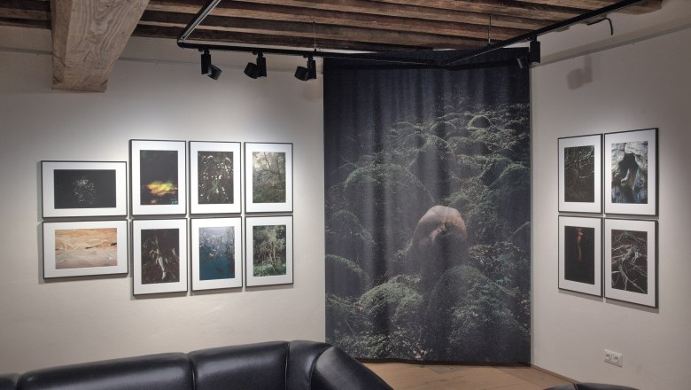 Innenansicht einer Kunstgalerie mit Fotografien an den Wänden und schwarzen Ledersofas.