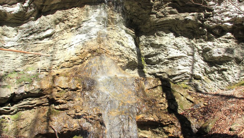 Ein kleiner Wasserfall fließt über eine Felswand, umgeben von Bäumen und Felsen.