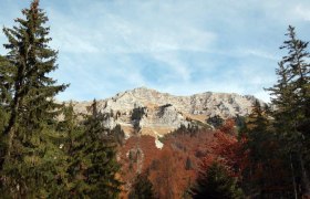 Berglandschaft mit dem Dürrenstein im Hintergrund, umgeben von Nadelbäumen und herbstlich gefärbtem Laub.