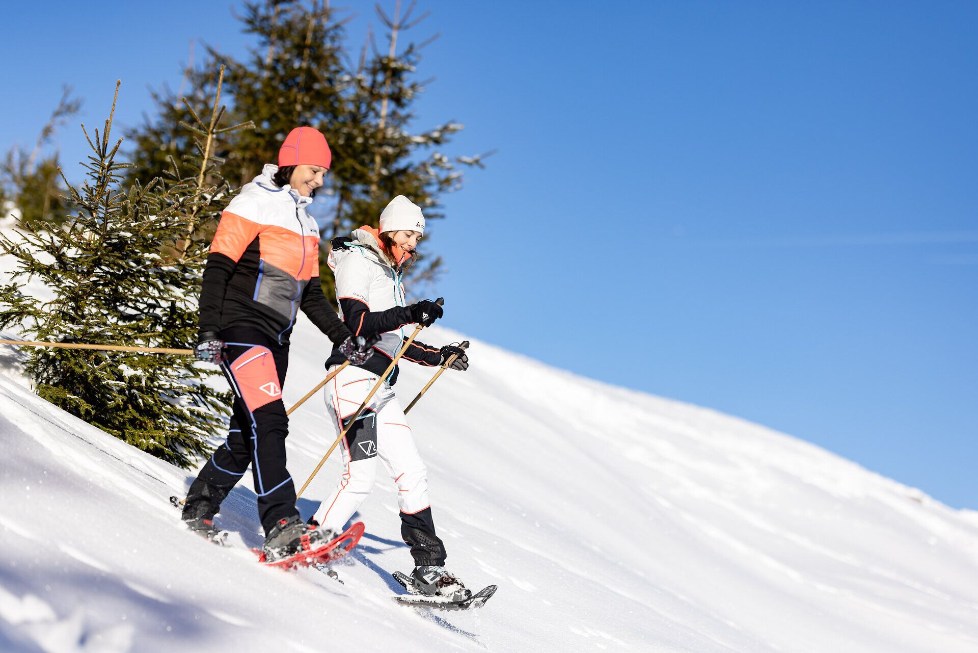 In der glitzernden Winterlandschaft des Mariazellerlandes genießen zwei Freunde eine entspannte Schneeschuhwanderung. Umgeben von schneebedeckten Bäumen und strahlend blauem Himmel, strahlt die Gruppe Freude und Abenteuerlust aus. Die frische, kalte Luft und die unberührte Natur laden dazu ein, die winterliche Idylle in vollen Zügen zu erleben.
